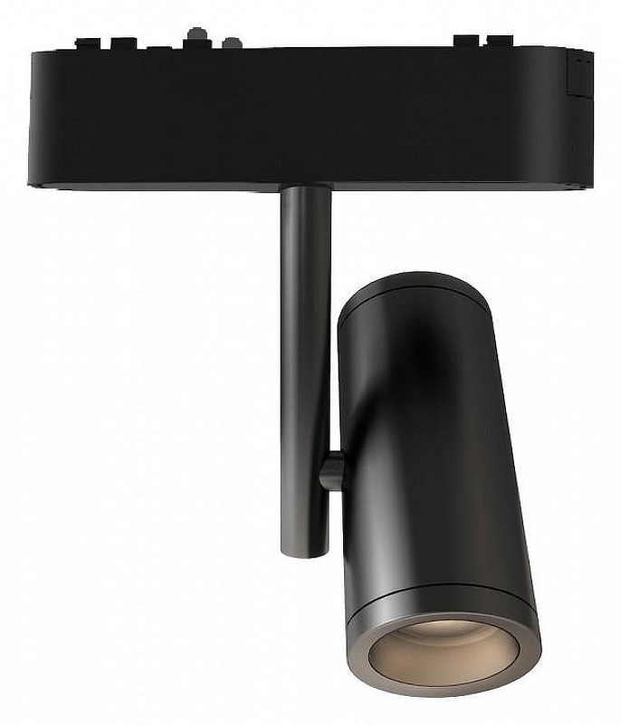 Светильник на штанге Wertmark WTH WTH.O12.603.30.08 