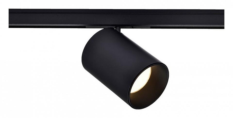 Светильник на штанге Wertmark WTL WTL.O10.607.30.03 