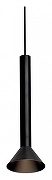 Подвесной светильник Wertmark WTL WTL.O17.606.30.03 цвет плафона/подвески Черный, цвет арматуры Черный