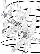 Гирлянда на солнечных батареях Uniel USL-S-123 05302 цвет плафона/подвески Прозрачный, цвет арматуры Черный-2