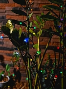 Гирлянда на солнечных батареях Uniel USL-S-122 05306 цвет плафона/подвески Прозрачный, цвет арматуры Черный-1