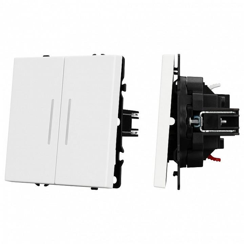 Выключатель двухклавишный без рамки Arlight SWT 054239 
