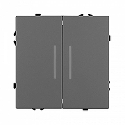 Выключатель двухклавишный без рамки Arlight SWT 054266 цвет Серый-2