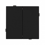 Выключатель двухклавишный без рамки Arlight SWT 054544 цвет Черный-2