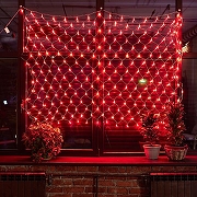 Сеть световая Uniel ULD-N2520-240 07940 -4