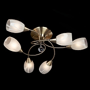 Люстра Eurosvet Virginia 2275/6 бронза античная цвет бронза античная-2