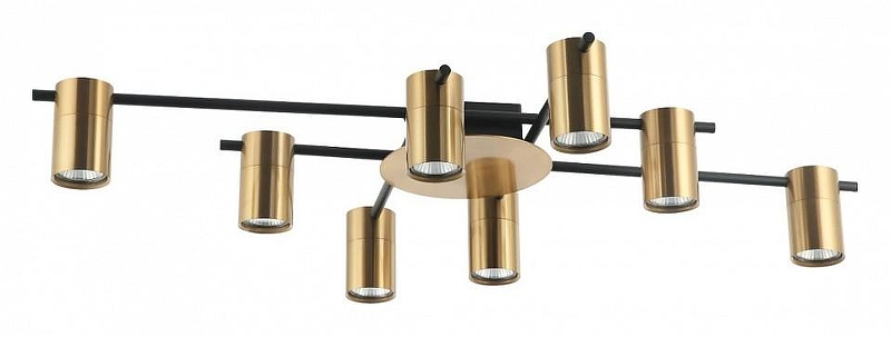 Люстра Favourite Topper 2827-8P 