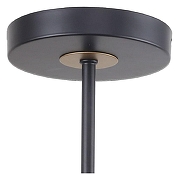 Люстра на штанге F-promo Rigor 2844-8P цвет плафона/подвески Черный, цвет арматуры Черный-3