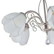 Люстра Arte Milano Amalfi-2656 332656/5 SN цвет плафона/подвески Прозрачный, цвет арматуры Никель-4