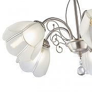 Люстра Arte Milano Amalfi-2656 332656/5 SN цвет плафона/подвески Прозрачный, цвет арматуры Никель-5