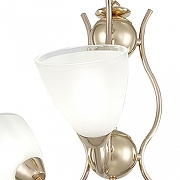 Люстра Arte Milano Amalfi-5816 335816/3 FGD цвет плафона/подвески Белый, Прозрачный, цвет арматуры Золото-5