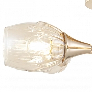 Люстра Arte Milano Napoli-6366 336366/5 FGD цвет плафона/подвески Оранжевый, цвет арматуры Золото-2