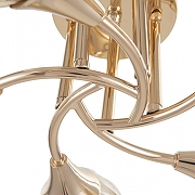 Люстра Arte Milano Napoli-6366 336366/5 FGD цвет плафона/подвески Оранжевый, цвет арматуры Золото-4