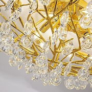 Люстра Favourite Pluvia 4162-10C цвет плафона/подвески Прозрачный, цвет арматуры Золото-4