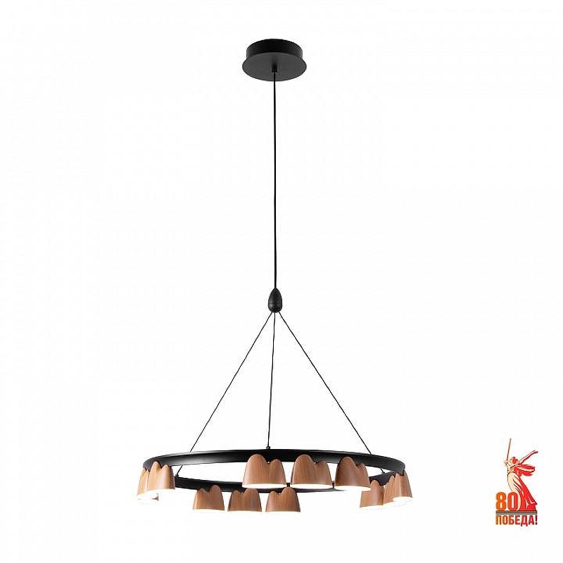 Люстра Favourite Interline 4266-12P 