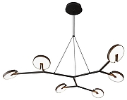 Люстра Favourite Paritet 4401-6P цвет черный-1