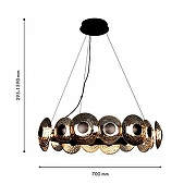 Люстра Favourite Claros 4642-16P цвет плафона/подвески Светло-серый, цвет арматуры Черный-3