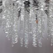 Люстра MW-Light Лайма 11 467013510 цвет плафона/подвески Прозрачный, цвет арматуры Хром-9