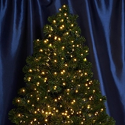 Гирлянда Супернить Feron CL09 48178 IP 20