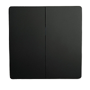 Выключатель беспроводной двухклавишный Feron TM92 51027 цвет черный-1