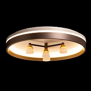 Люстра De City Семья 66 660014701 цвет плафона/подвески Белый, цвет арматуры Коричневый-3