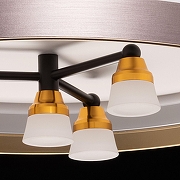 Люстра De City Семья 66 660014701 цвет плафона/подвески Белый, цвет арматуры Коричневый-5