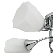 Люстра Escada Camellia 664/5P цвет хром-2