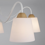 Люстра Eurosvet Betty 70062/5 белый цвет белый-3