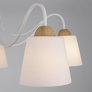 Люстра Eurosvet Betty 70062/5 белый цвет плафона/подвески Белый, цвет арматуры Белый-3