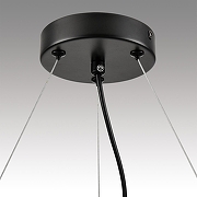 Люстра Lumion Natalina 8232/6 цвет плафона/подвески Прозрачный, цвет арматуры Черный-6