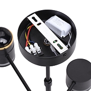 Люстра на штанге Lumion Virsava 8234/6C цвет плафона/подвески Черный, цвет арматуры Черный-5