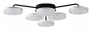 Люстра Lumion Didana 8236/6CL цвет плафона/подвески Прозрачный, цвет арматуры Черный
