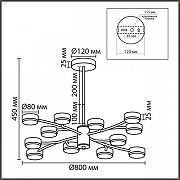 Люстра на штанге Lumion TORINA 8265/12 цвет плафона/подвески Белый, цвет арматуры Белый-7