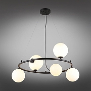 Люстра Aployt Odet APL.630.13.06 цвет плафона/подвески Белый, цвет арматуры Черный-14