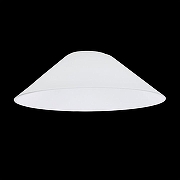Плафон стеклянный Citilux Эдисон CL450.12 цвет Белый-1