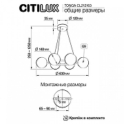 Люстра Citilux Tonga CL212163 цвет плафона/подвески Белый, цвет арматуры Бронза-9