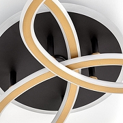 Люстра Citilux TR1O CL215B132 цвет плафона/подвески Золото, цвет арматуры Черный-11