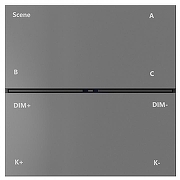 Панель-регулятора ЦТ роторная накладная Denkirs AIR CONTROL BT DK7201-DG цвет черный