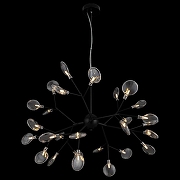 Люстра Freya Florencia FR5049PL-27B цвет плафона/подвески Прозрачный, цвет арматуры Черный-1
