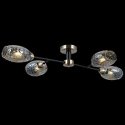 Люстра ILLUMICO IL0285 IL0285-4CSQ-79 BK AB цвет плафона/подвески Прозрачный, цвет арматуры Бронза, Черный-2