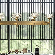 Люстра Imperiumloft LOTOS LONG LOTOS-LONG01 цвет плафона/подвески Прозрачный, цвет арматуры Латунь-7