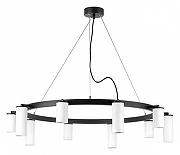 Люстра Lightstar Rullo LR020365865 цвет плафона/подвески Белый, цвет арматуры Черный-1