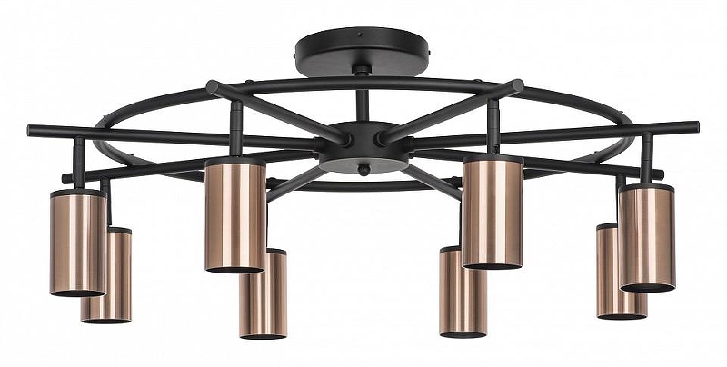 Люстра на штанге Lightstar Rullo LR718308 