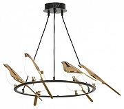 Люстра Lussole Jasper LSP-8641 цвет плафона/подвески Белый, Золото, цвет арматуры Черный-1