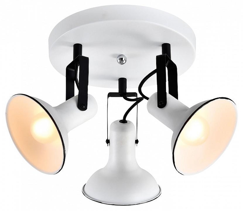 Люстра Lussole Fargo LSP-8803 