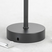 Люстра на штанге Lussole Fishers LSP-8798 цвет черный-6