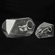 Люстра на штанге Lussole Antioch LSP-8849 цвет черный-2