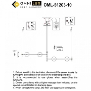 Люстра Omnilux Indovero OML-51203-10 цвет плафона/подвески Прозрачный, цвет арматуры Латунь-2