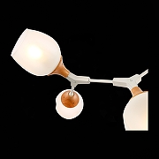 Люстра на штанге EVOLUCE C1otolla SLE113502-05 цвет плафона/подвески Белый, цвет арматуры Белый-7