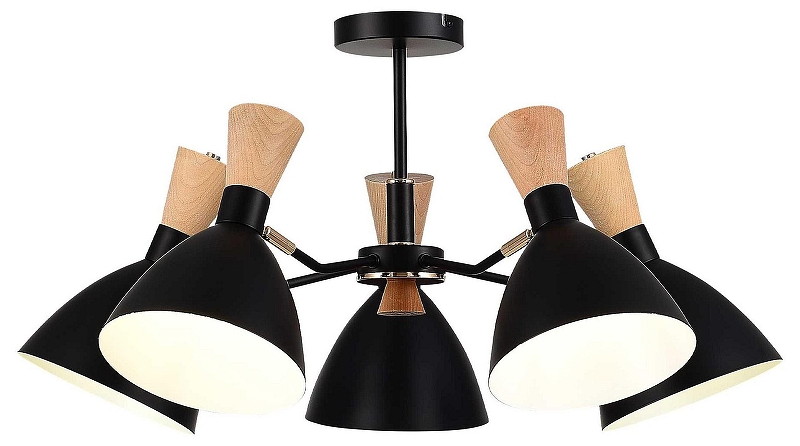 Люстра на штанге EVOLUCE VISTA SLE1256-402-05 